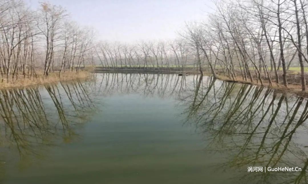 f528ccc0dd25734f9f70a02b0722e55c.jpg