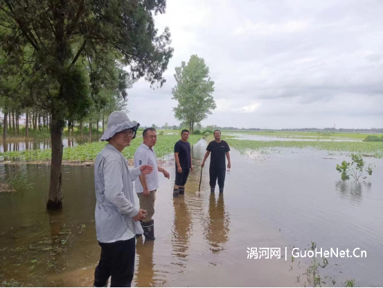 洪峰下的“山峰”——渦陽(yáng)縣開(kāi)展2024年抗洪搶險(xiǎn)救災(zāi)工作紀(jì)實(shí)