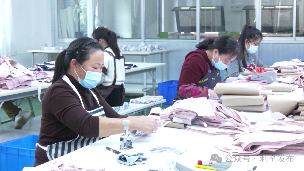 利辛輕紡：突破 “小而散” 藩籬，構(gòu)建百億產(chǎn)業(yè)版圖
