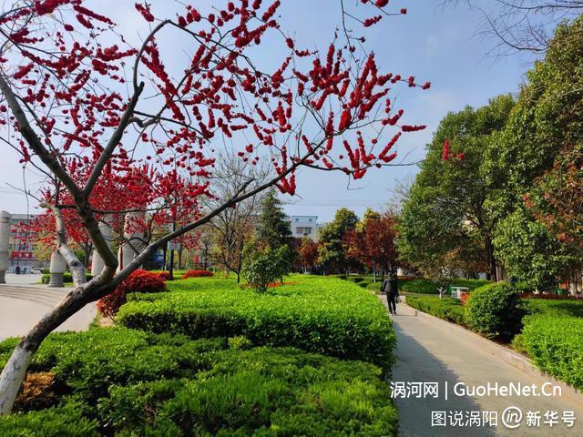 老子故里渦陽(yáng)：老子文化廣場(chǎng) 微雨潤(rùn)春色，紫陌染芳菲