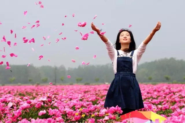 上車！帶你去看“醉美”芍花海，絕對不虛此行！