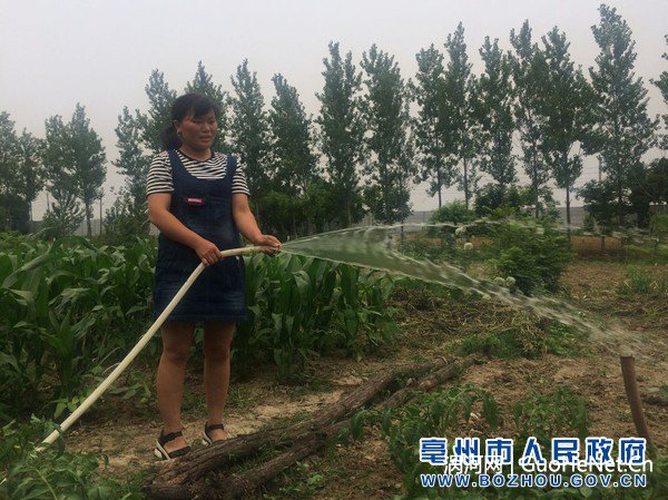 （6.8渦陽縣補(bǔ)齊短板打造宜居宜業(yè)新農(nóng)村）薛影正在澆灌自家的小菜園.jpg