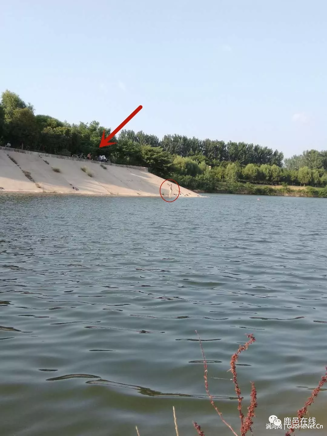 渦河大閘現(xiàn)4名裸泳男子 網(wǎng)友：不要給鹿邑抹黑