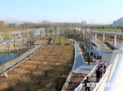 亳州陵西湖公園碧水藍(lán)天，美景如畫，堪稱“江南”風(fēng)光！