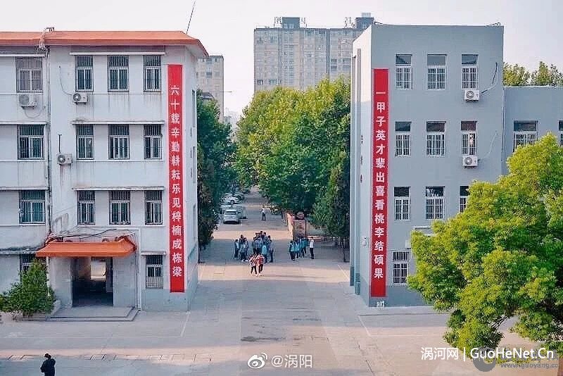 渦陽二中高考成績大曝光