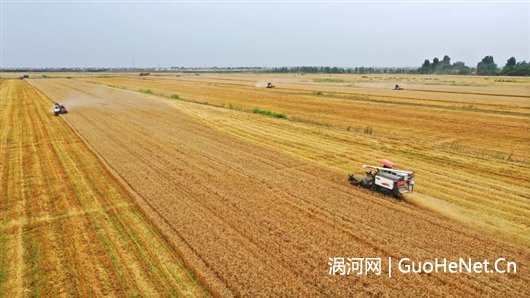 糧豐科技助力江淮稻—麥?zhǔn)B豐